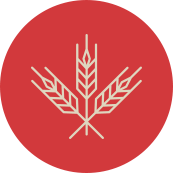 Icono Pan